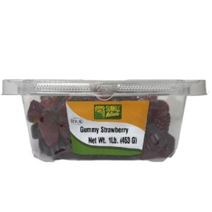 4206-Gummy Strawberry 12/1Lb